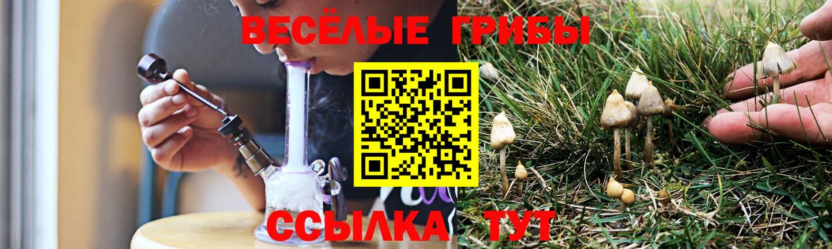 Псилоцибиновые грибы Magic Shrooms Сергиев Посад